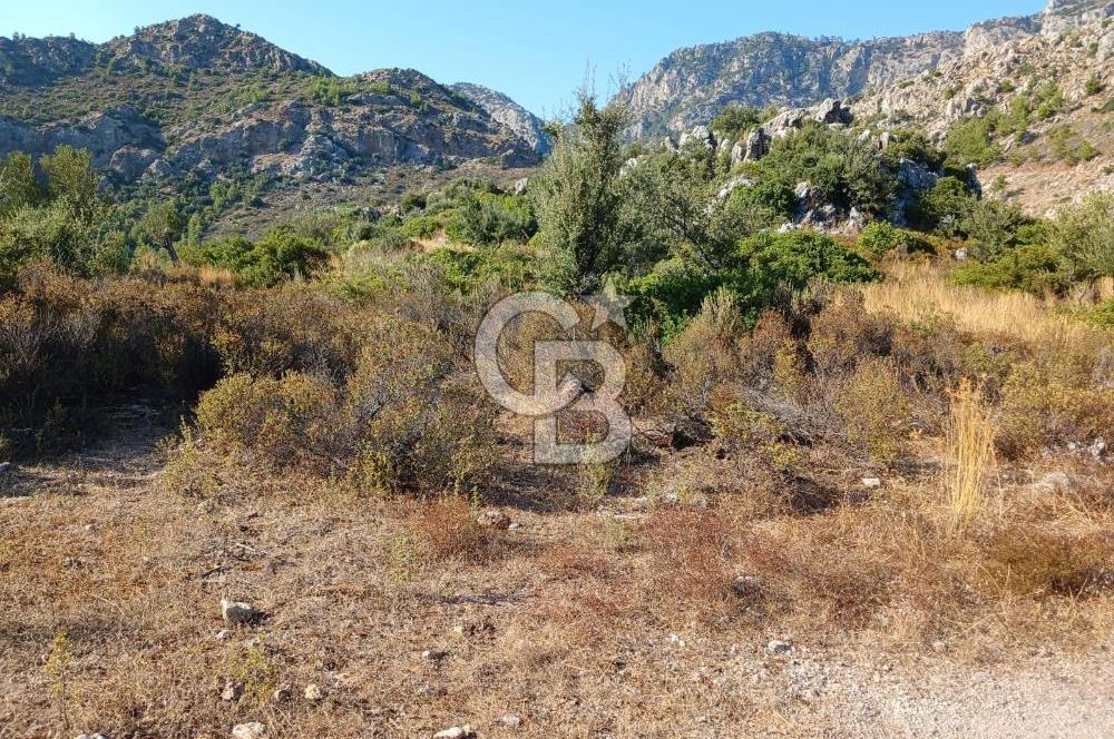 MARMARİS ORHANİYE KIZKUMUNDA PANORAMİK DENİZ MANZARALI ARSA