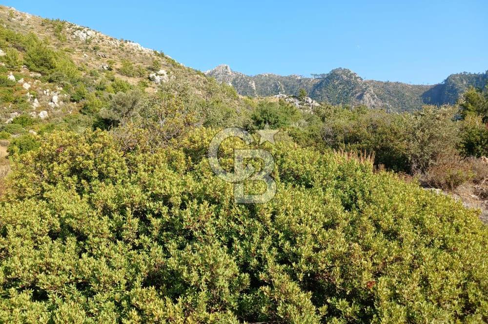 MARMARİS ORHANİYE KIZKUMUNDA PANORAMİK DENİZ MANZARALI ARSA