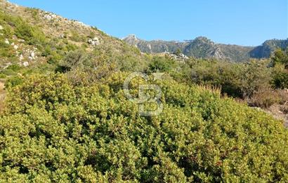 MARMARİS ORHANİYE KIZKUMUNDA PANORAMİK DENİZ MANZARALI ARSA