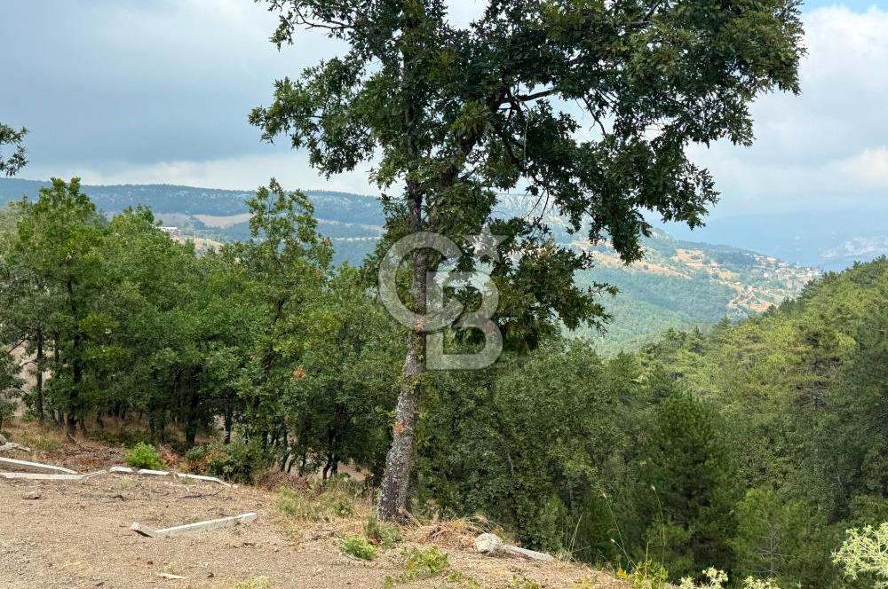 BURSA OSMANGAZİ DAĞAKÇA'DA 3.478,81 m² YATIRIMLIK TARLA