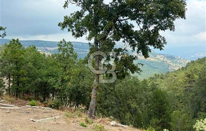 BURSA OSMANGAZİ DAĞAKÇA'DA 3.478,81 m² YATIRIMLIK TARLA