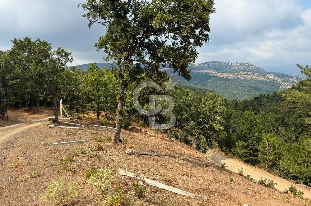 BURSA OSMANGAZİ DAĞAKÇA'DA 3.478,81 m² YATIRIMLIK TARLA