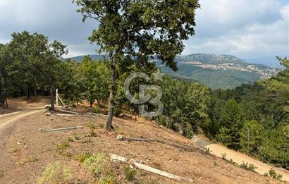 BURSA OSMANGAZİ DAĞAKÇA'DA 3.478,81 m² YATIRIMLIK TARLA
