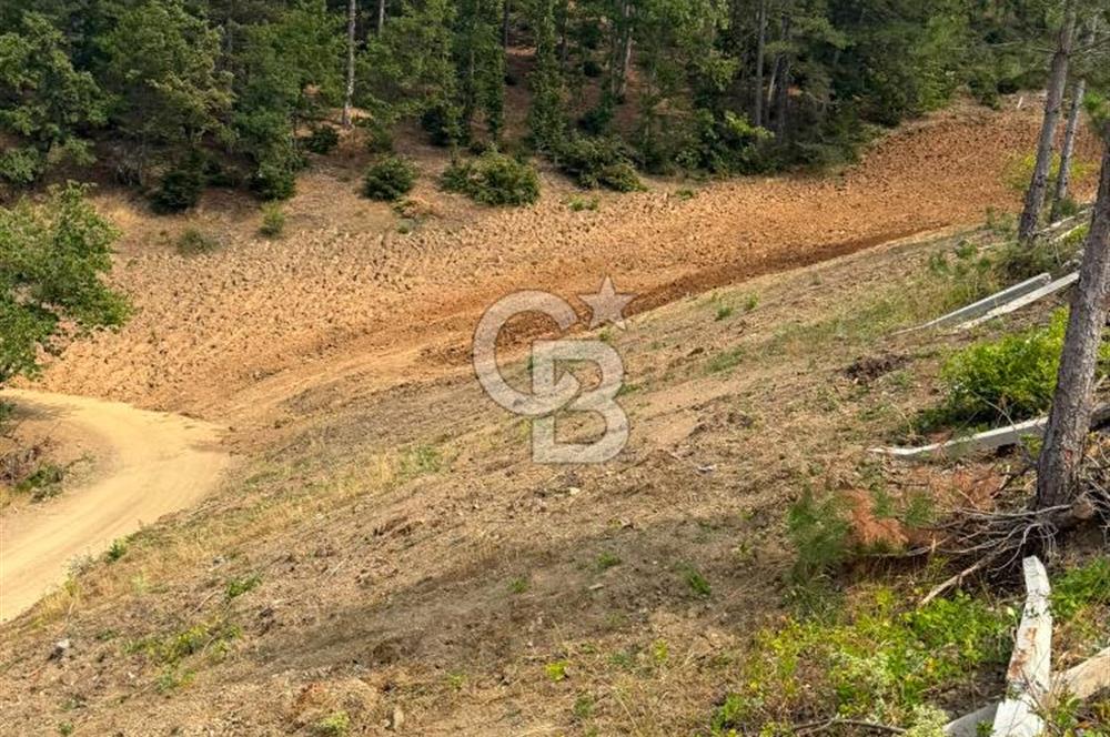 BURSA OSMANGAZİ DAĞAKÇA'DA 3.478,81 m² YATIRIMLIK TARLA