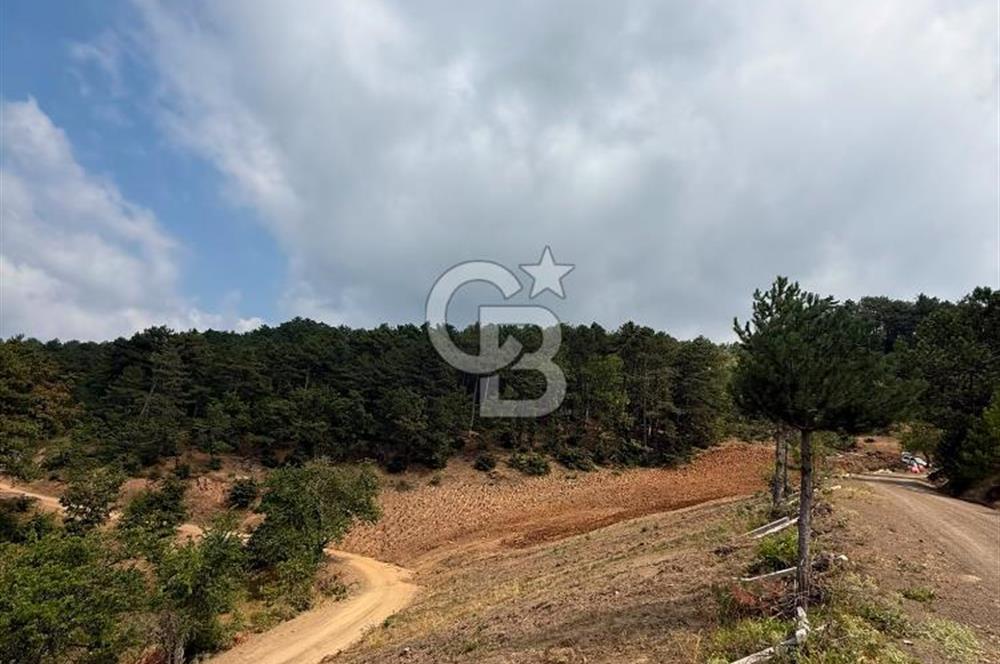 BURSA OSMANGAZİ DAĞAKÇA'DA 3.478,81 m² YATIRIMLIK TARLA