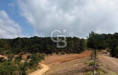 BURSA OSMANGAZİ DAĞAKÇA'DA 3.478,81 m² YATIRIMLIK TARLA