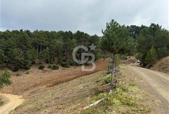 BURSA OSMANGAZİ DAĞAKÇA'DA 3.478,81 m² YATIRIMLIK TARLA - 1 - 368512