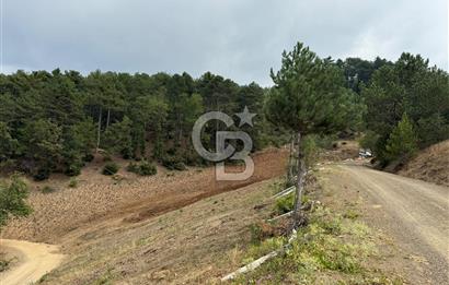 BURSA OSMANGAZİ DAĞAKÇA'DA 3.478,81 m² YATIRIMLIK TARLA