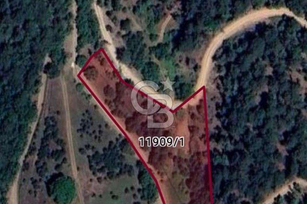 BURSA OSMANGAZİ DAĞAKÇA'DA 3.478,81 m² YATIRIMLIK TARLA