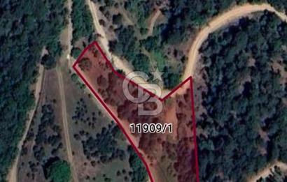 BURSA OSMANGAZİ DAĞAKÇA'DA 3.478,81 m² YATIRIMLIK TARLA