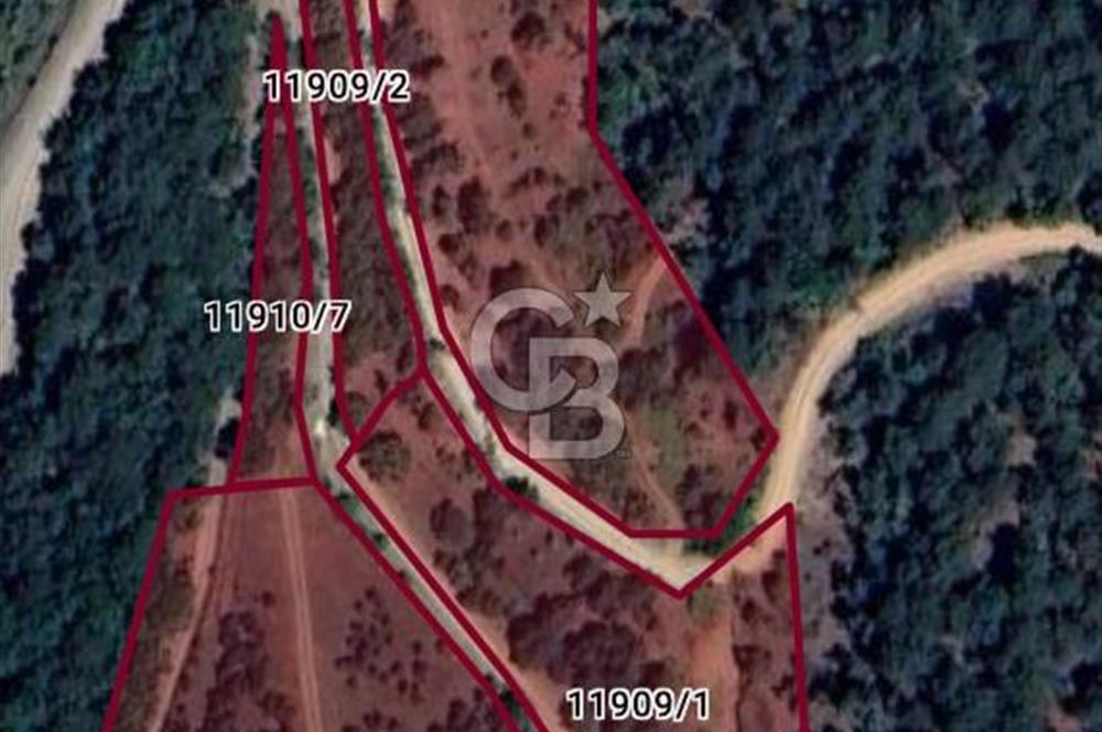 BURSA OSMANGAZİ DAĞAKÇA'DA 3.478,81 m² YATIRIMLIK TARLA