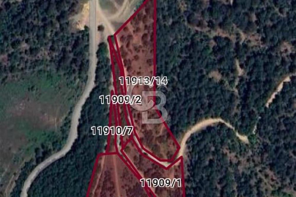 BURSA OSMANGAZİ DAĞAKÇA'DA 3.478,81 m² YATIRIMLIK TARLA