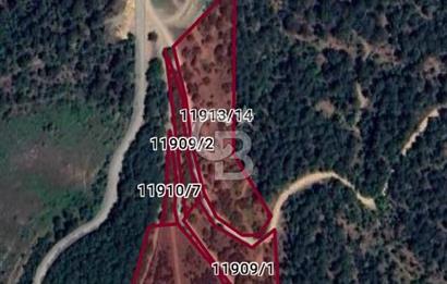 BURSA OSMANGAZİ DAĞAKÇA'DA 3.478,81 m² YATIRIMLIK TARLA