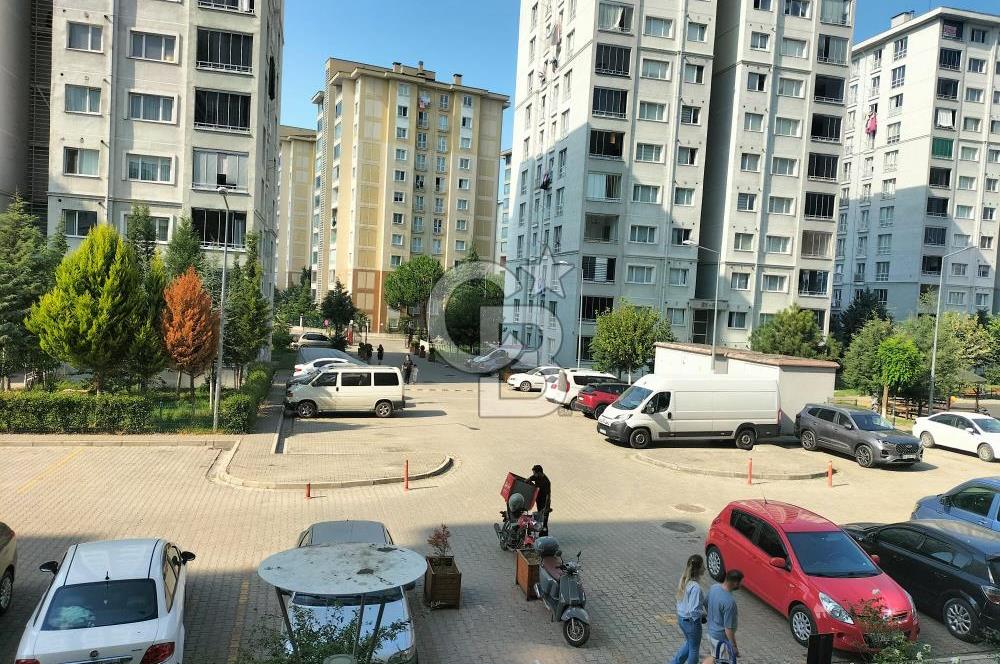 Kuzey yıldızı toki de 3+1 kiralık daire