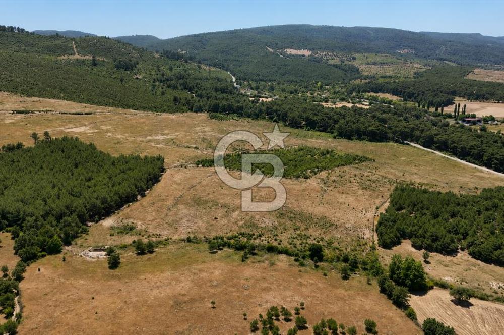 ÇANAKKALE AYVACIK SAZLI KÖYÜNDE 8.162 M² İMARLI SATILIK ARSA