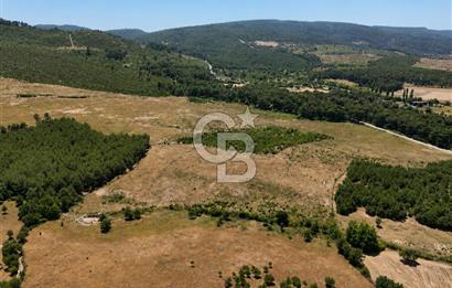 ÇANAKKALE AYVACIK SAZLI KÖYÜNDE 8.162 M² İMARLI SATILIK ARSA