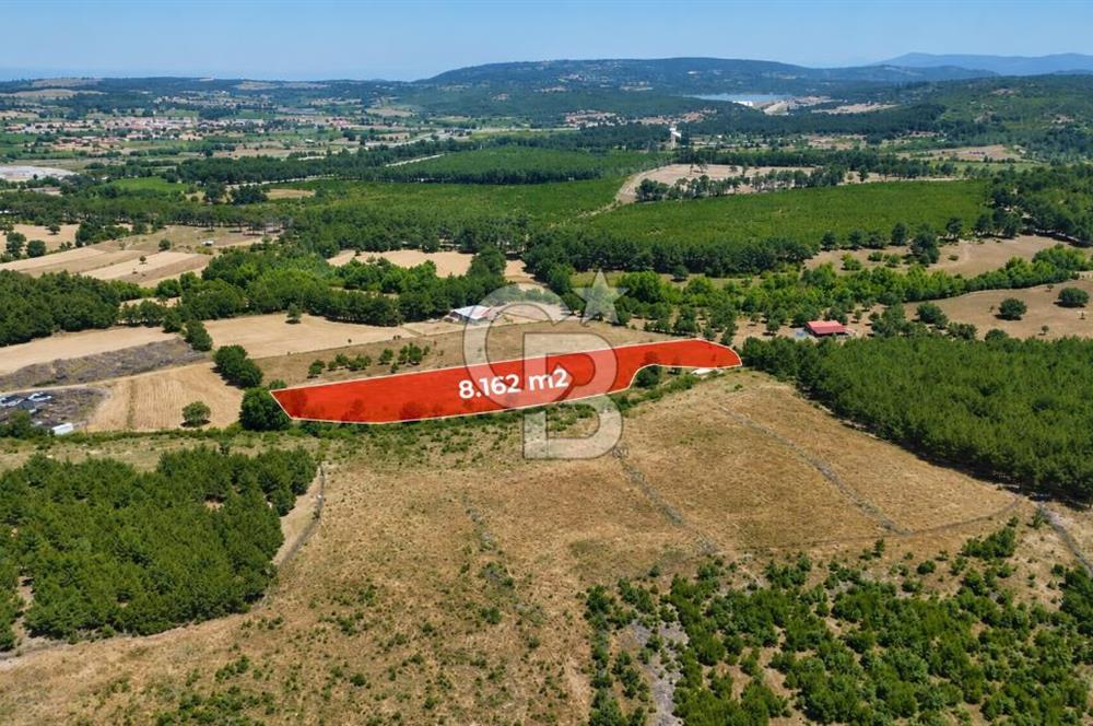 ÇANAKKALE AYVACIK SAZLI KÖYÜNDE 8.162 M² İMARLI SATILIK ARSA