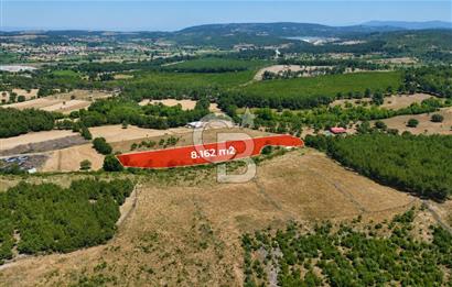 ÇANAKKALE AYVACIK SAZLI KÖYÜNDE 8.162 M² İMARLI SATILIK ARSA