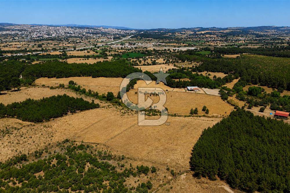 ÇANAKKALE AYVACIK SAZLI KÖYÜNDE 8.162 M² İMARLI SATILIK ARSA