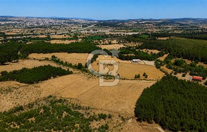 ÇANAKKALE AYVACIK SAZLI KÖYÜNDE 8.162 M² İMARLI SATILIK ARSA