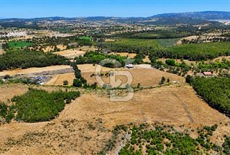 ÇANAKKALE AYVACIK SAZLI KÖYÜNDE 8.162 M² İMARLI SATILIK ARSA - 1 - 219284