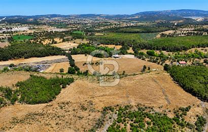 ÇANAKKALE AYVACIK SAZLI KÖYÜNDE 8.162 M² İMARLI SATILIK ARSA
