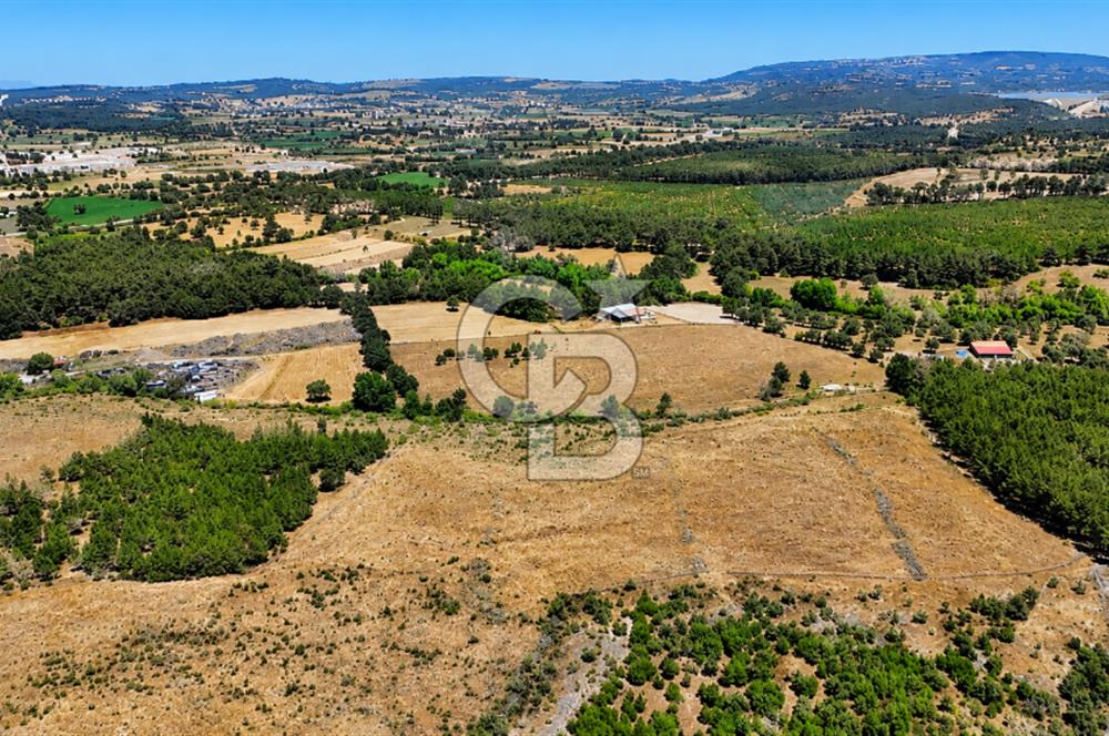 ÇANAKKALE AYVACIK SAZLI KÖYÜNDE 8.162 M² İMARLI SATILIK ARSA