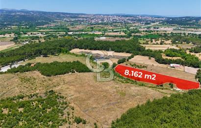 ÇANAKKALE AYVACIK SAZLI KÖYÜNDE 8.162 M² İMARLI SATILIK ARSA