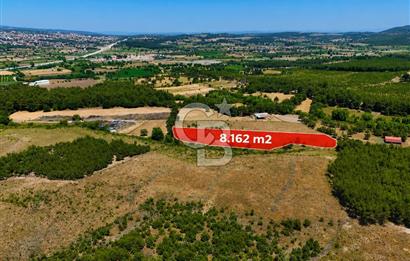 ÇANAKKALE AYVACIK SAZLI KÖYÜNDE 8.162 M² İMARLI SATILIK ARSA