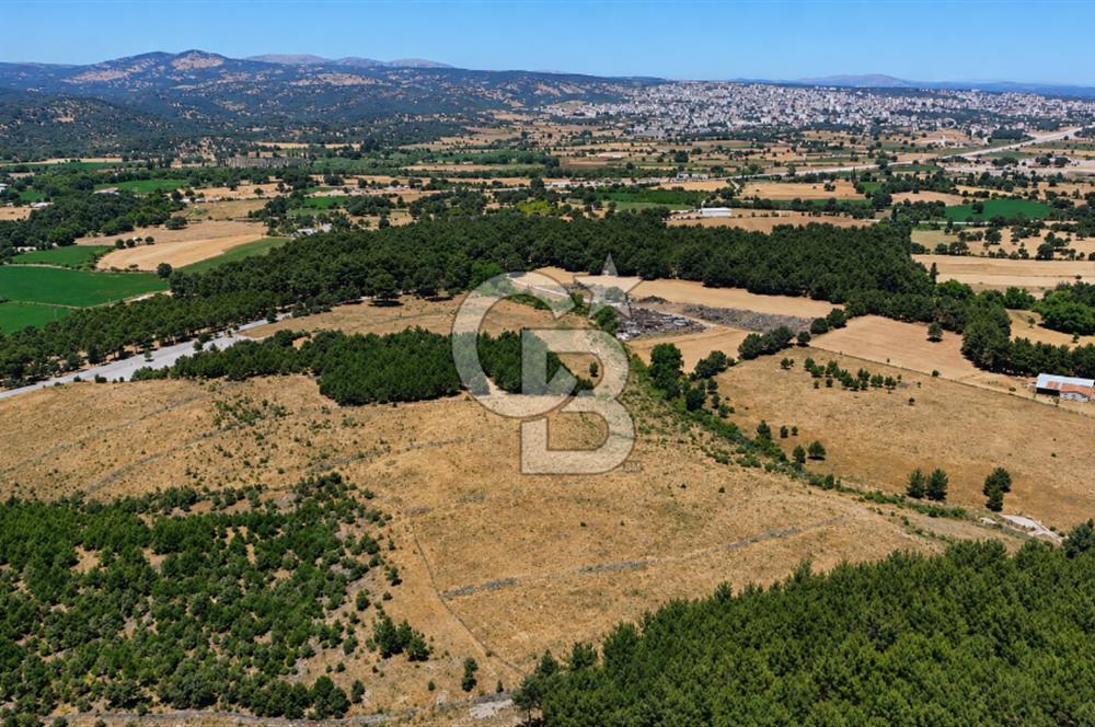 ÇANAKKALE AYVACIK SAZLI KÖYÜNDE 8.162 M² İMARLI SATILIK ARSA