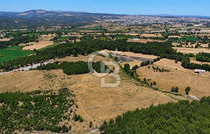 ÇANAKKALE AYVACIK SAZLI KÖYÜNDE 8.162 M² İMARLI SATILIK ARSA