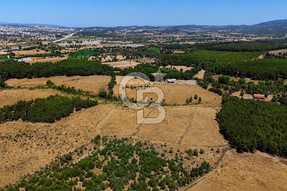 ÇANAKKALE AYVACIK SAZLI KÖYÜNDE 8.162 M² İMARLI SATILIK ARSA
