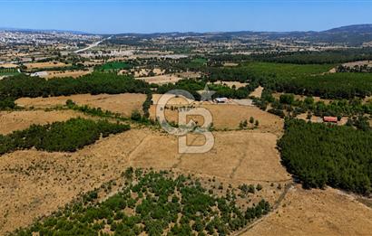 ÇANAKKALE AYVACIK SAZLI KÖYÜNDE 8.162 M² İMARLI SATILIK ARSA