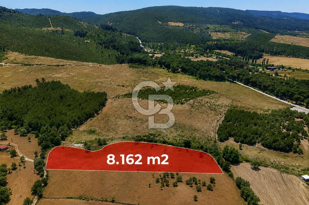 ÇANAKKALE AYVACIK SAZLI KÖYÜNDE 8.162 M² İMARLI SATILIK ARSA