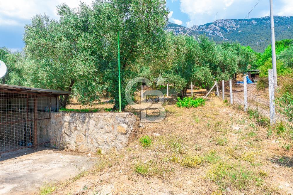 Muğla Yaraş’ta Satılık Müstakil Ev