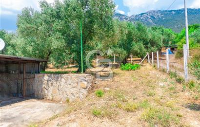 Muğla Yaraş’ta Satılık Müstakil Ev