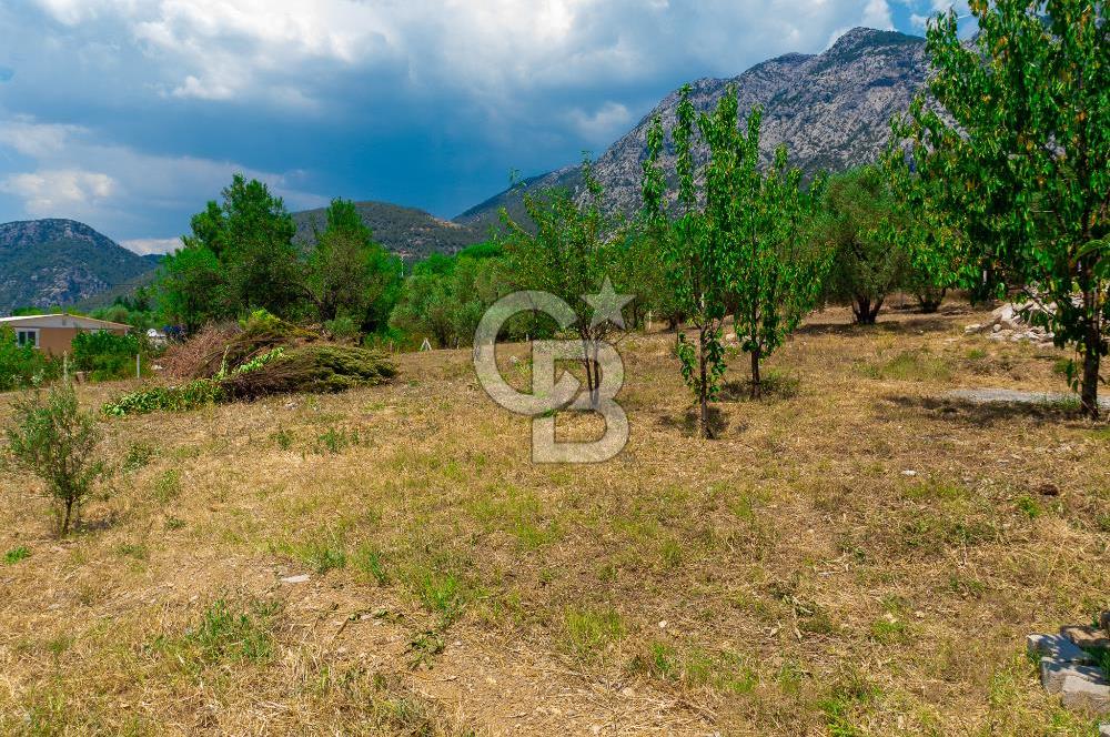 Muğla Yaraş’ta Satılık Müstakil Ev
