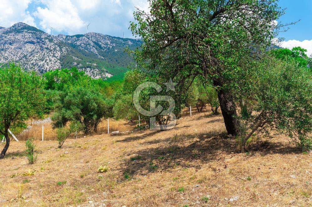 Muğla Yaraş’ta Satılık Müstakil Ev