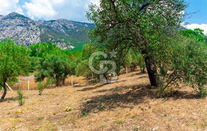 Muğla Yaraş’ta Satılık Müstakil Ev