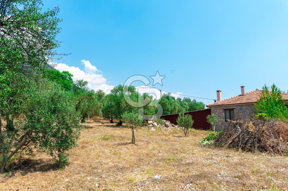 Muğla Yaraş’ta Satılık Müstakil Ev