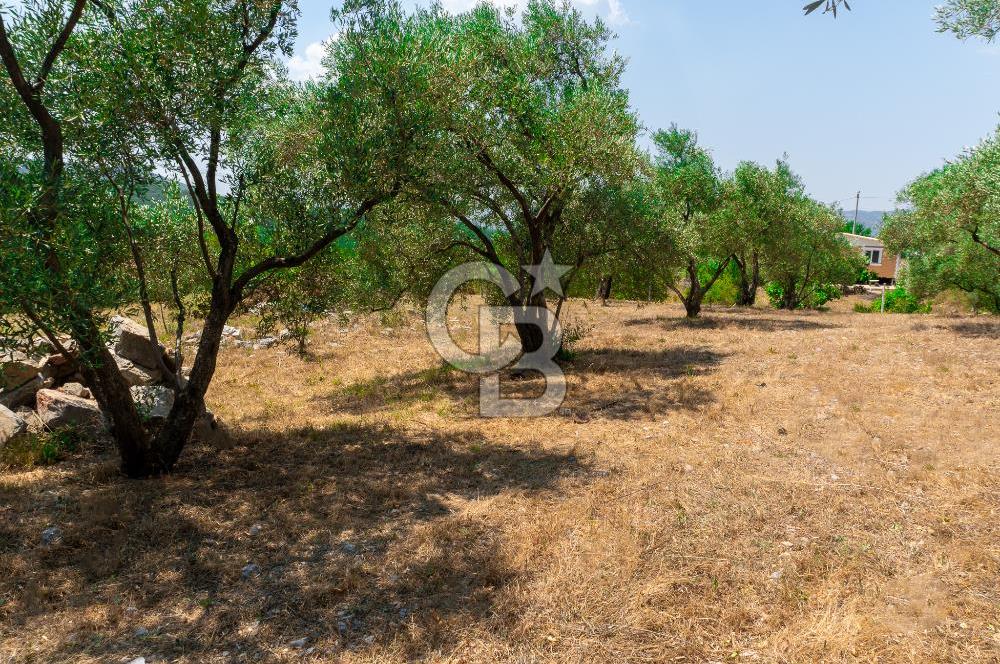 Muğla Yaraş’ta Satılık Müstakil Ev