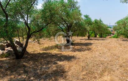 Muğla Yaraş’ta Satılık Müstakil Ev