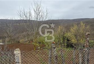KAVAK GÖÇEBEDE KÖY İÇİ TARLA - 11 - 368529