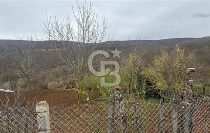 KAVAK GÖÇEBEDE KÖY İÇİ TARLA