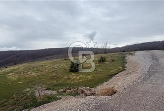 KAVAK GÖÇEBEDE BÖLGENİN EN UYGUN TARLASI - 12 - 368528