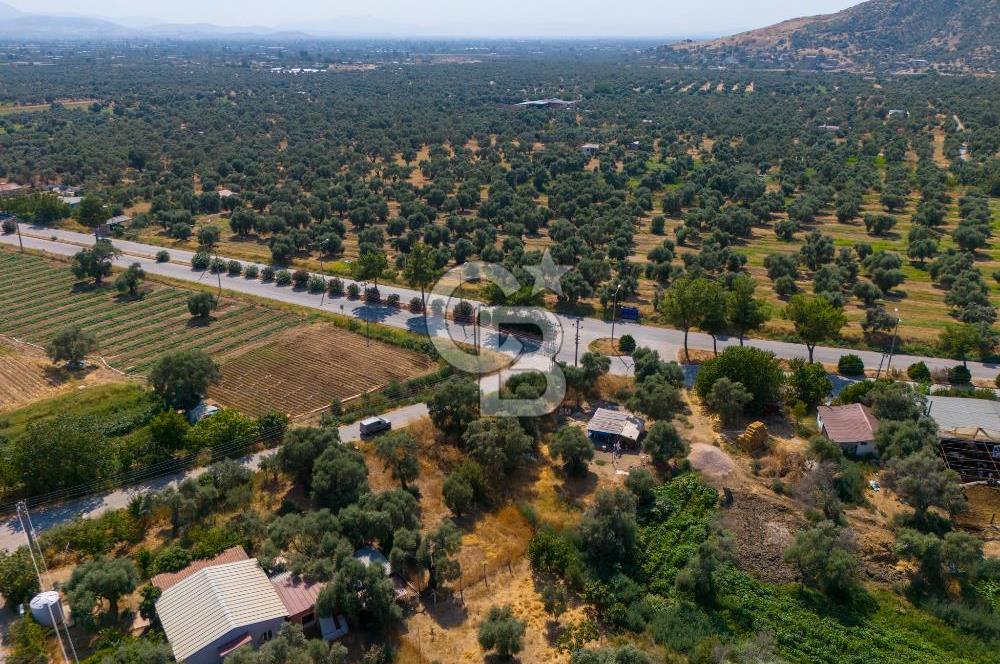 TEOK'tan Yola Cephe Satılık Arsa