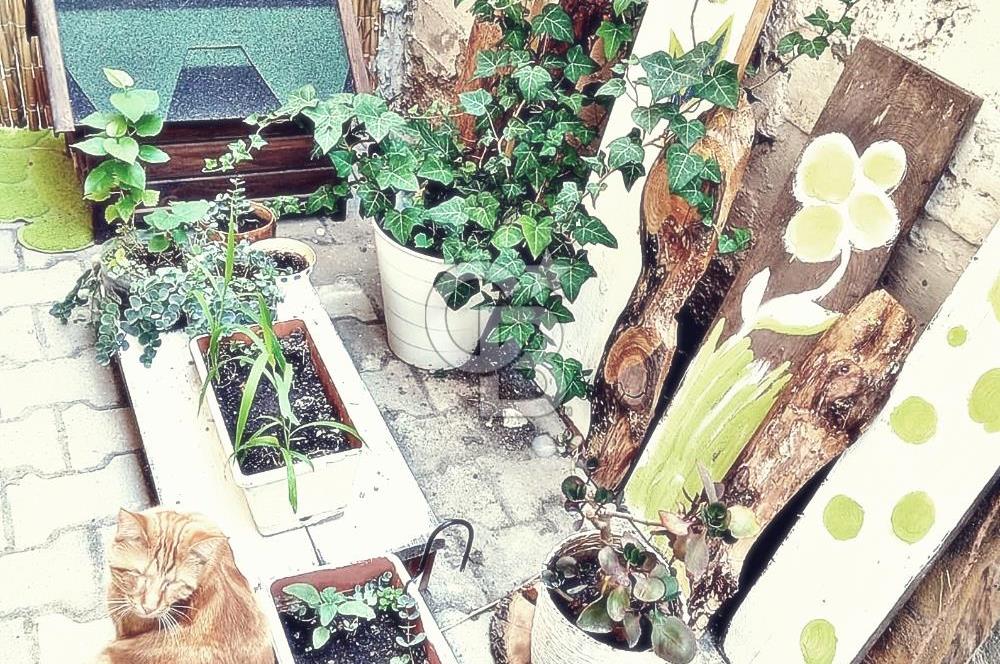 MİSKET MAHALLESİ’NDE YATIRIMLIK 2+1 EŞYALI SATILIK DAİRE