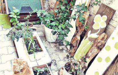 MİSKET MAHALLESİ’NDE YATIRIMLIK 2+1 EŞYALI SATILIK DAİRE
