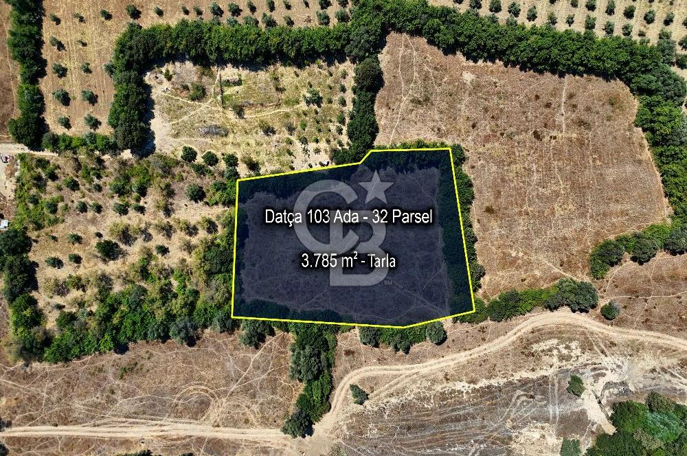 Datça Burgaz Arkası'nda 3.785 metrekare Tarla