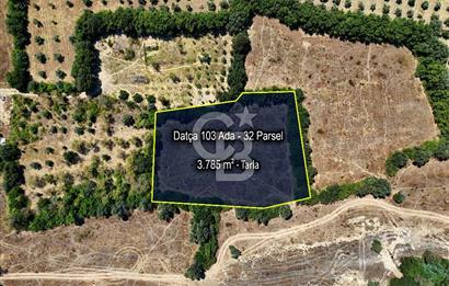 Datça Burgaz Arkası'nda 3.785 metrekare Tarla